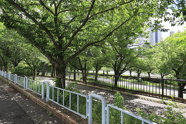 (仮称)大阪市北区天満一丁目計画