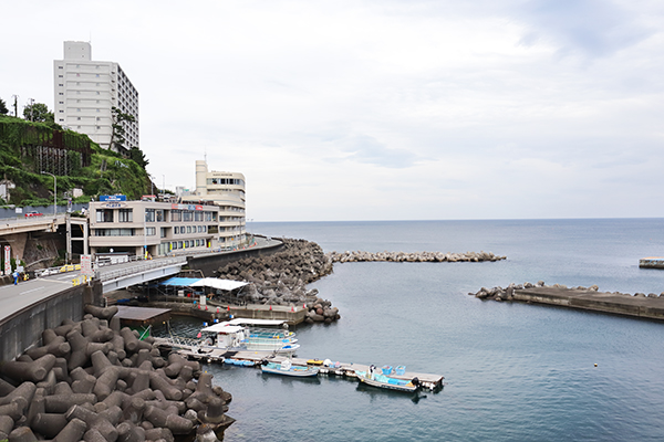 (仮称)熱海市東海岸町ホテル計画