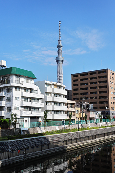 シティタワー錦糸公園