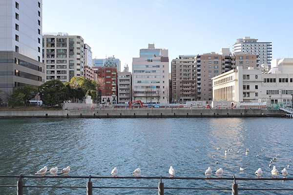 日本郵船 横浜タワー棟（(仮称)横浜市中区海岸通計画(A-1地区)）