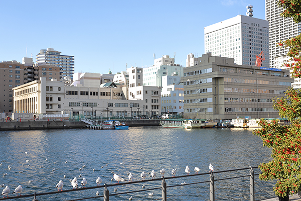 日本郵船 横浜タワー棟（(仮称)横浜市中区海岸通計画(A-1地区)）