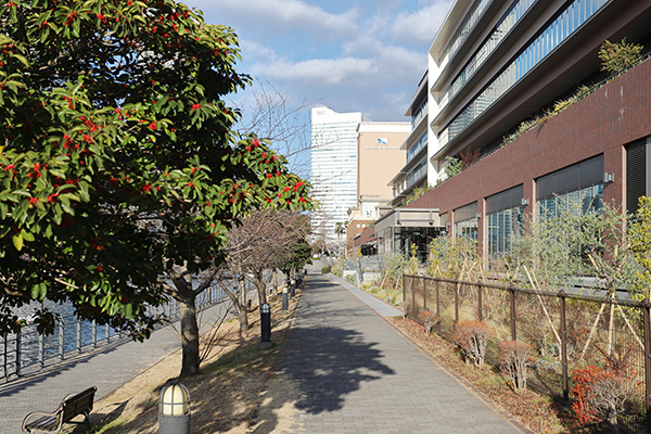 日本郵船 横浜タワー棟（(仮称)横浜市中区海岸通計画(A-1地区)）