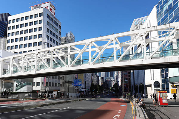 (仮称)新宿駅西南口地区 南街区共同開発