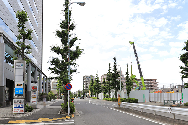 笹塚駅南口東地区開発計画