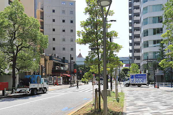 (仮称)東京自興ビル・国分マンション建替え計画